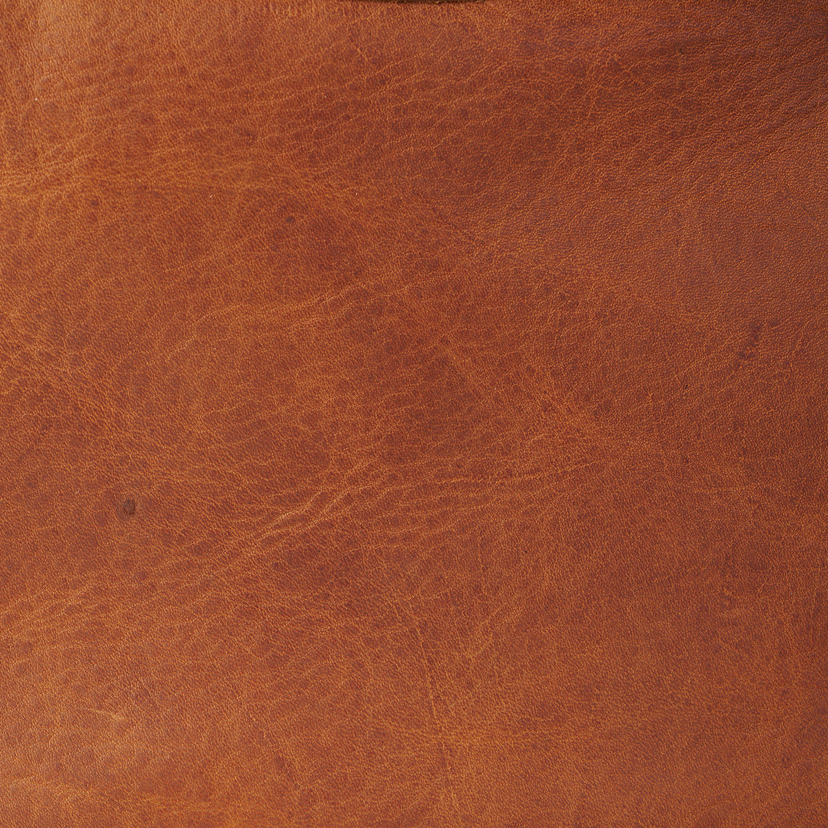 Jackie Hobo No.2 | Horween® Saddle